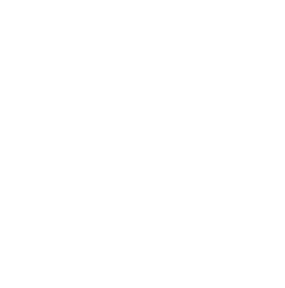 Organization DiDe